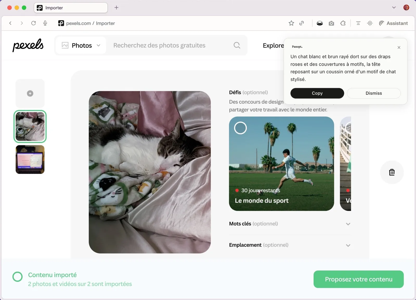 Pexels demo (French example): a brown and white tabby cat asleep on pink sheets, its head resting on a cushion printed with a stylized cat motif